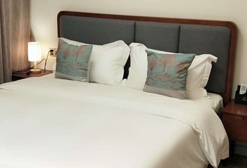 酒店 Poltton International Apartment Jinding