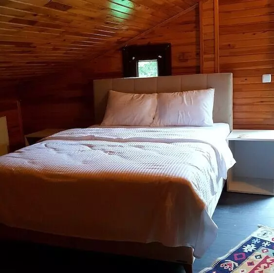 ホテル Roof Garten