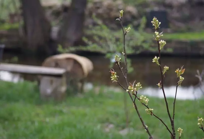 Hotelli Hippo Arabico