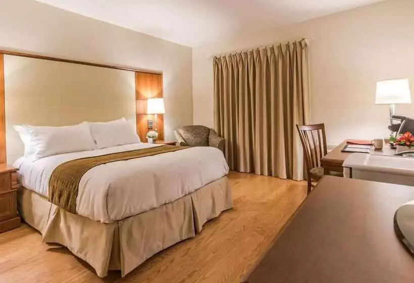 Hotelli Hôtel De La Rive