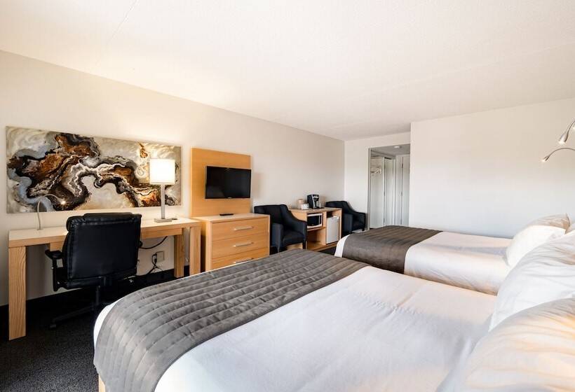 호텔 Hôtel De La Rive