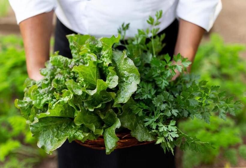 هتل Boutique Y Restaurante Panisté