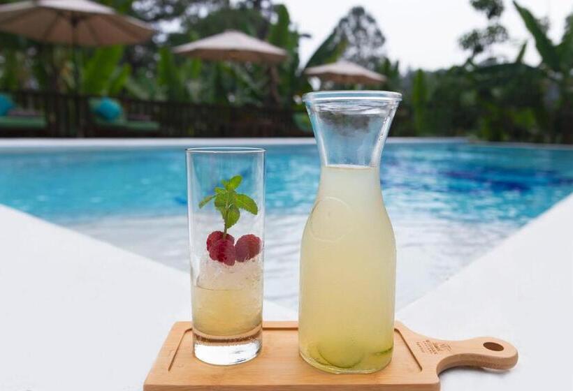 هتل Boutique Y Restaurante Panisté