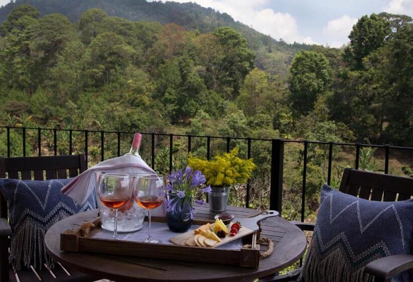 هتل Boutique Y Restaurante Panisté