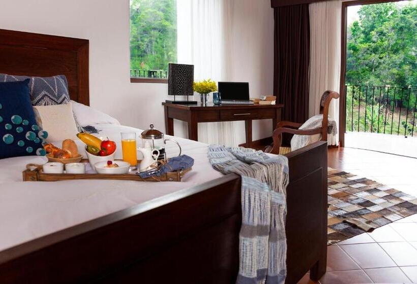 هتل Boutique Y Restaurante Panisté