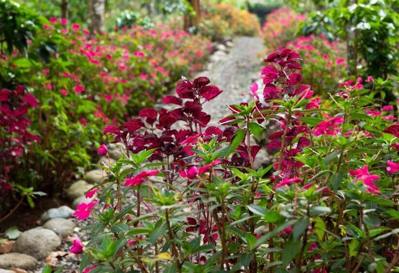 هتل Boutique Y Restaurante Panisté