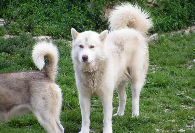 Hotelli Azureva Métabief