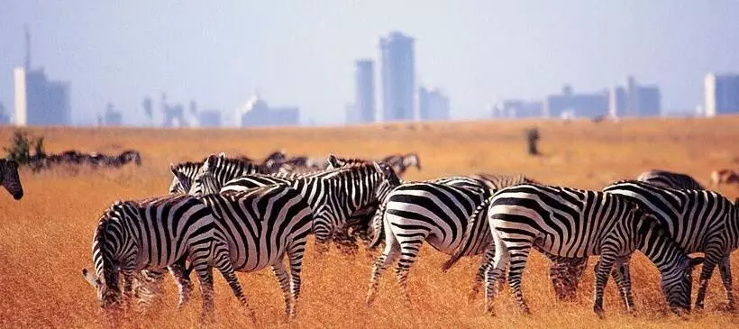 هتل Jkia Airport Side Apartment