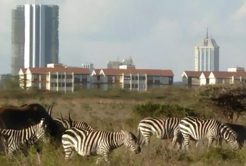 هتل Jkia Airport Side Apartment