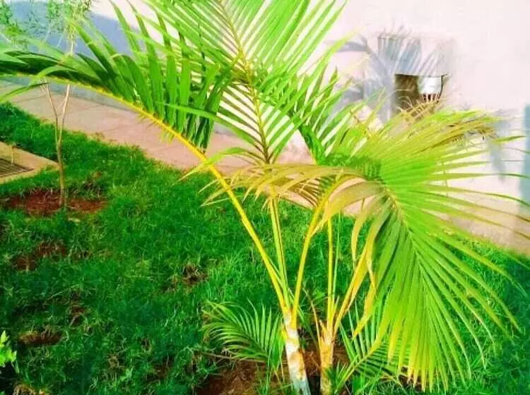 هتل Jkia Airport Side Apartment