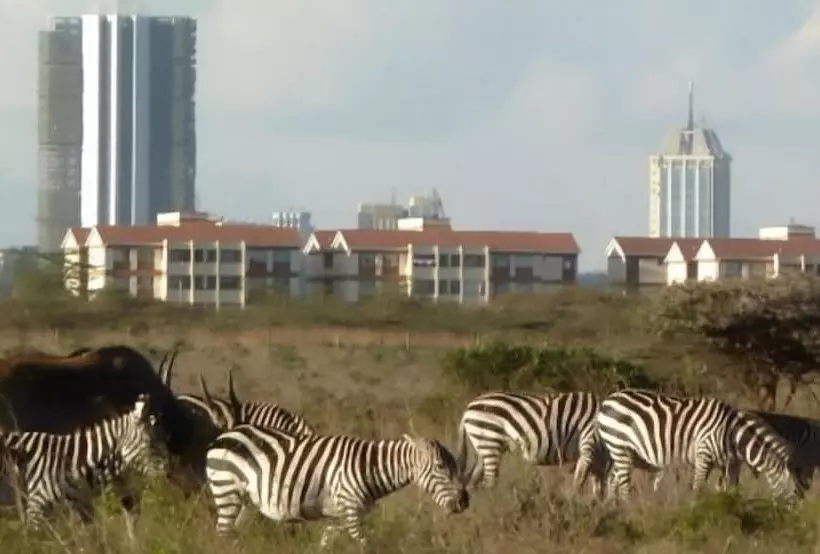 هتل Jkia Airport Side Apartment