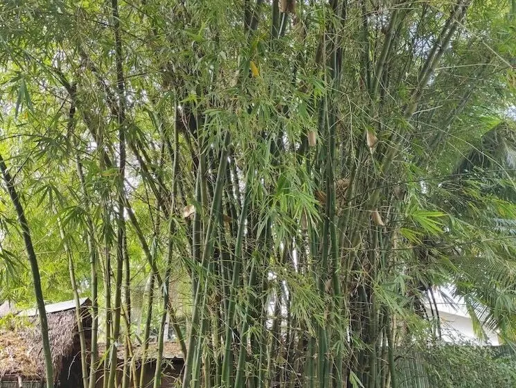 هتل Villa Valiha Boutique