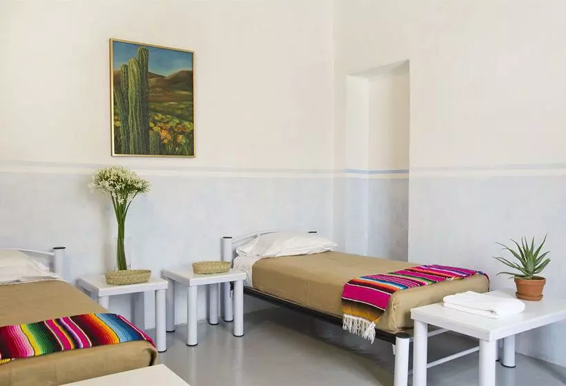 Общежитие Casa San Ildefonso