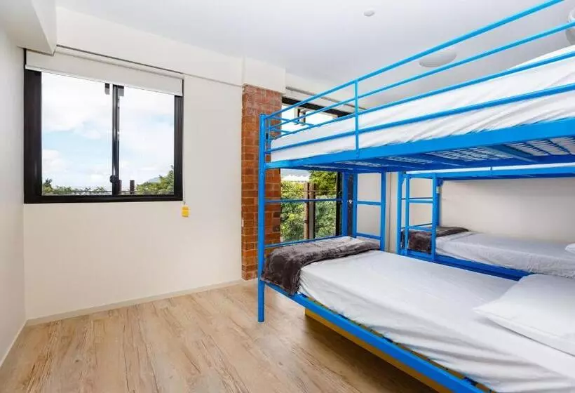 旅馆 Global Backpackers Cairns