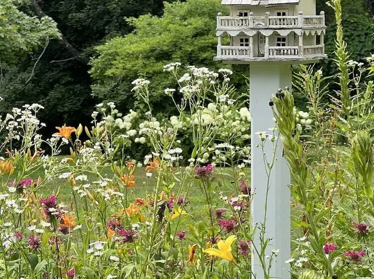 Bed and Breakfast Manor House Inn