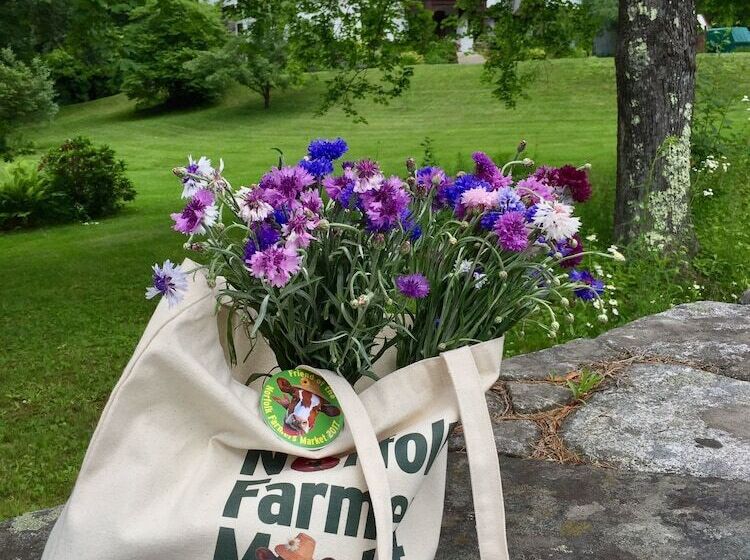 مبيت وإفطار Manor House Inn