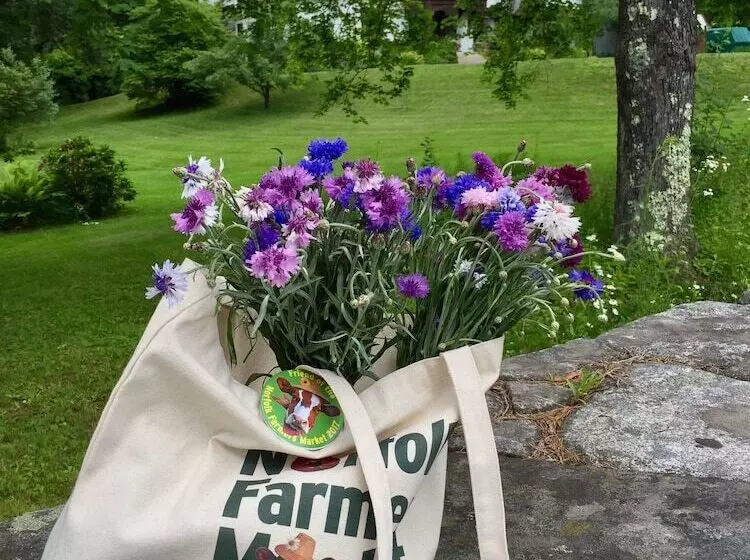 Bed and Breakfast Manor House Inn