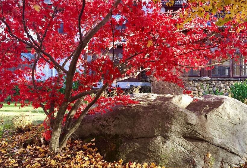 مبيت وإفطار Manor House Inn