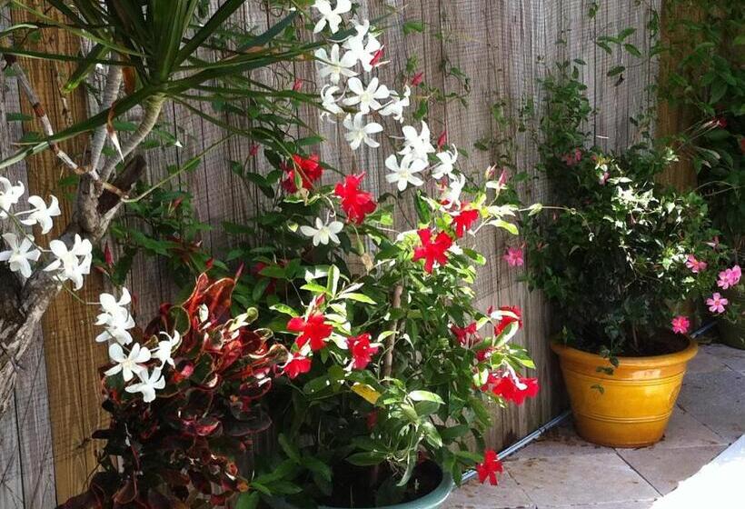 مبيت وإفطار The Inn On Fleming