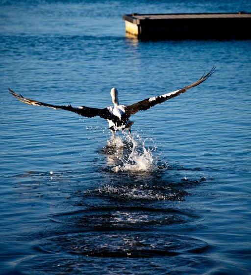 Burnie Airport Motel