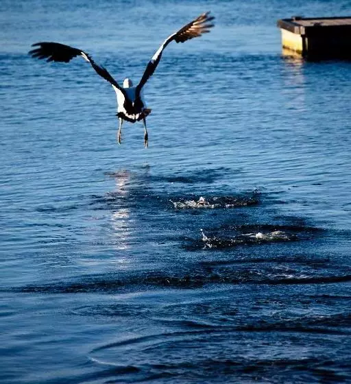 Burnie Airport Motel
