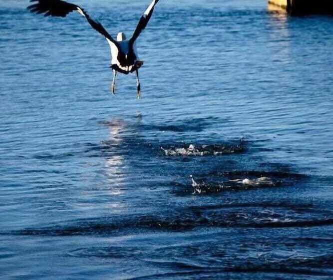 Burnie Airport Motel