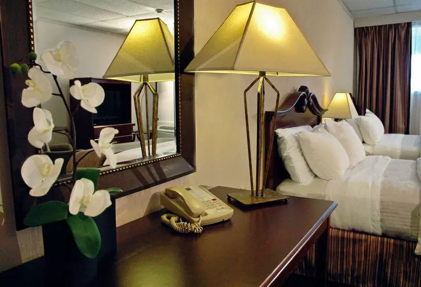 Отель Ambassador Sudbury