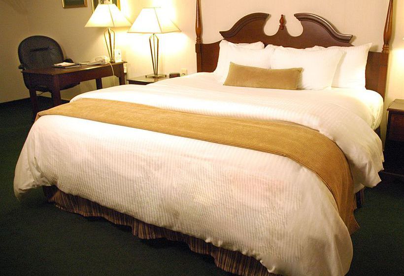 ホテル Ambassador Sudbury