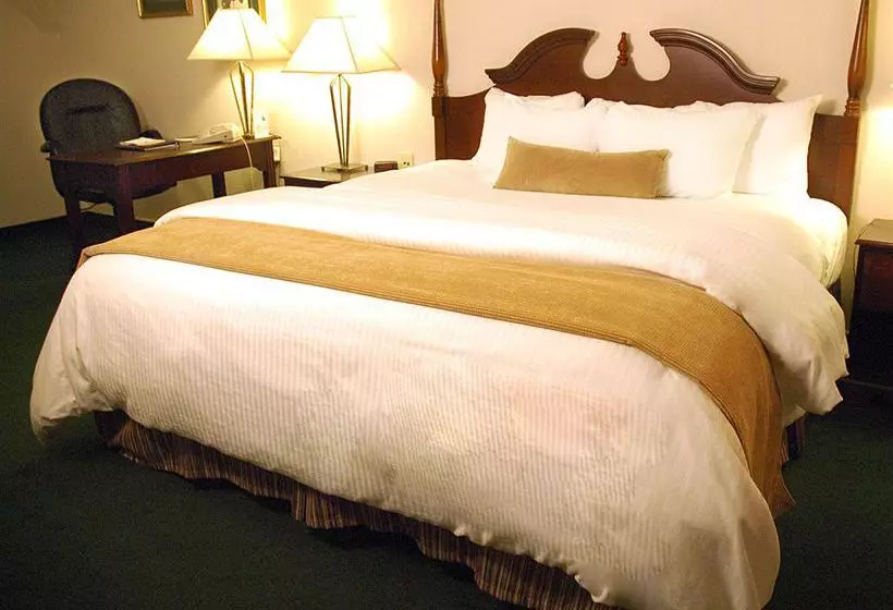 Отель Ambassador Sudbury