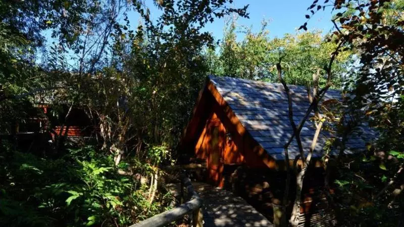 هتل Lodge Roche Tamarin