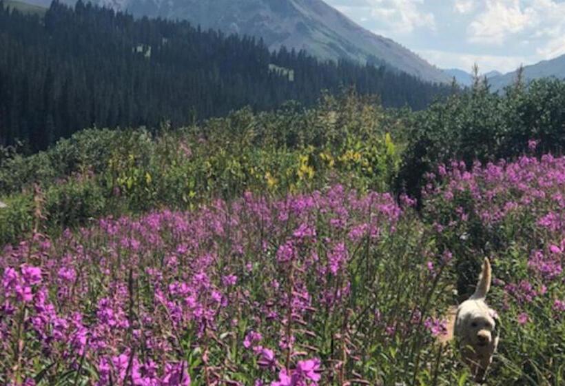 Отель Majestic Chateaux