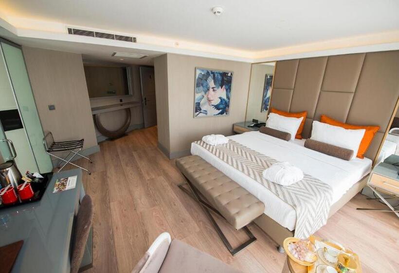 ホテル Manesol Old City Bosphorus