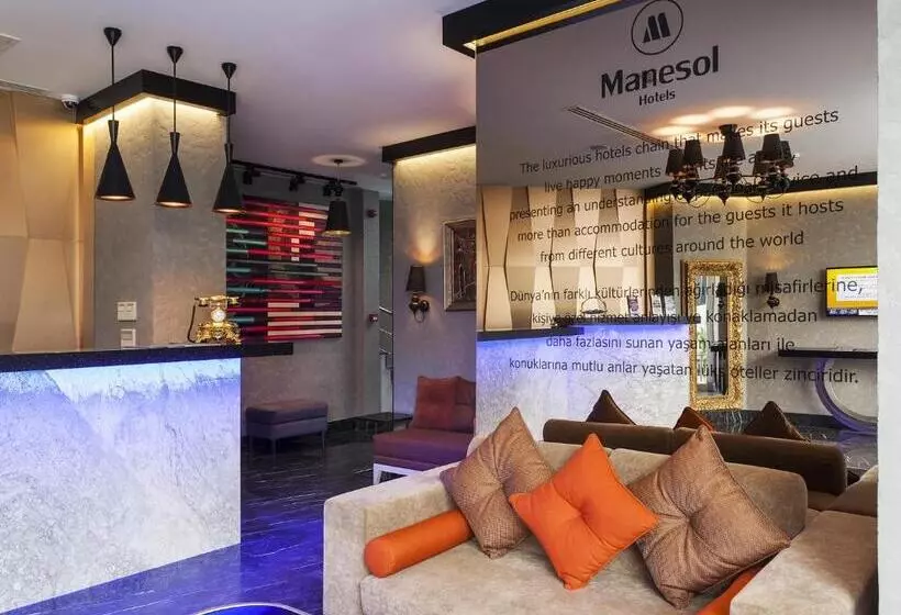 Hotel Manesol Old City Bosphorus