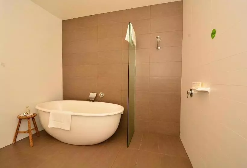 Отель Mornington