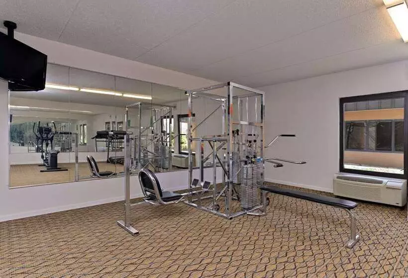 Отель Quality Inn & Suites Matteson Near I57