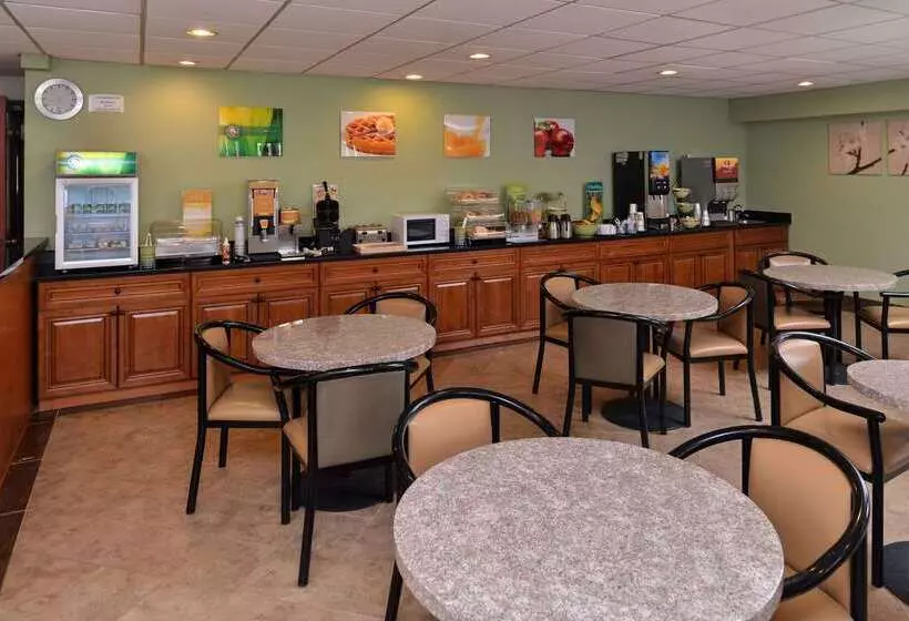 Отель Quality Inn & Suites Matteson Near I57