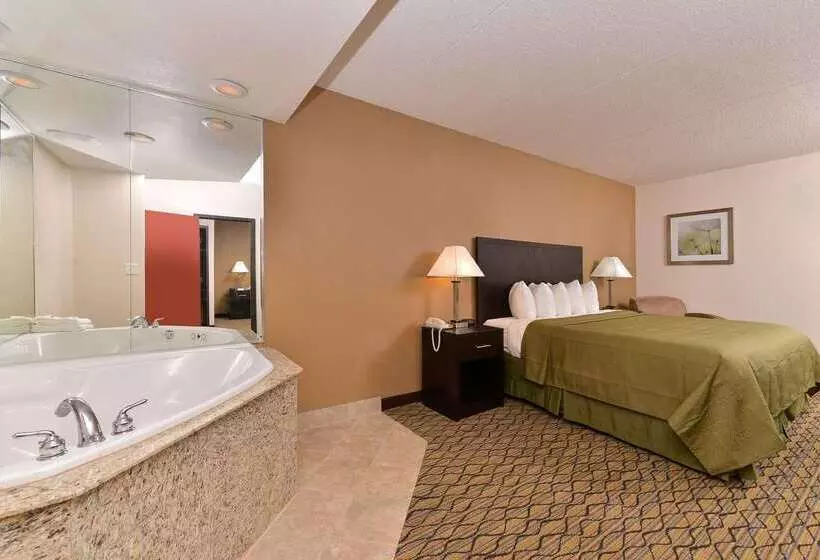 Отель Quality Inn & Suites Matteson Near I57