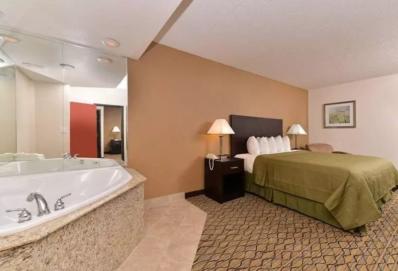 Отель Quality Inn & Suites Matteson Near I57