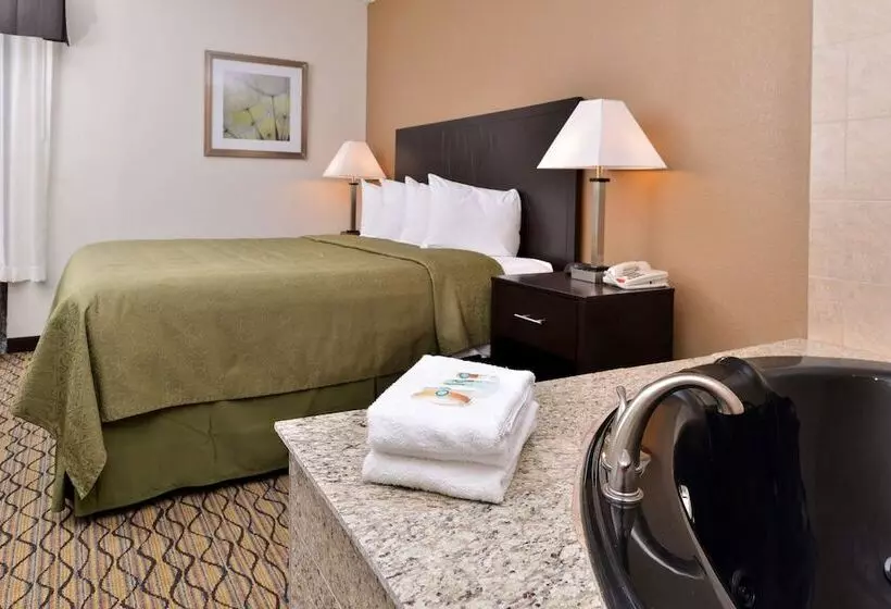 Отель Quality Inn & Suites Matteson Near I57