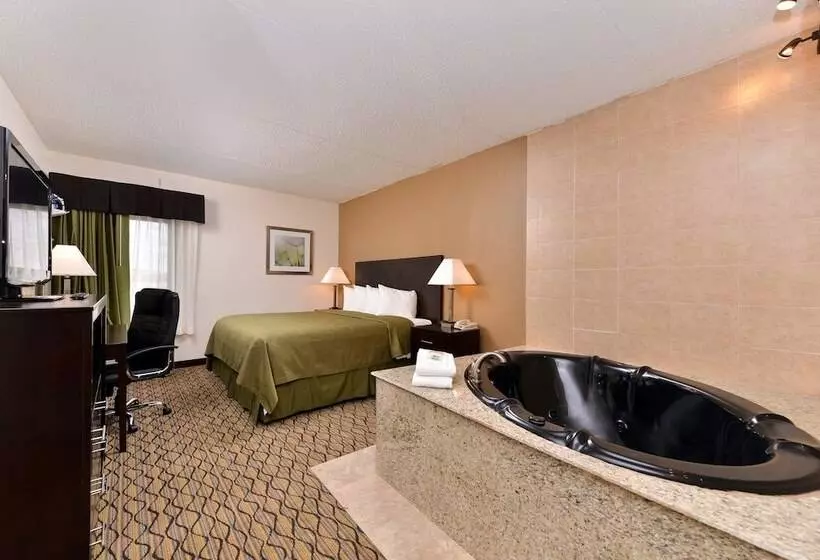 Отель Quality Inn & Suites Matteson Near I57