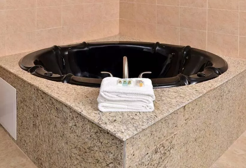 Отель Quality Inn & Suites Matteson Near I57