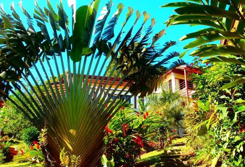 Korovesi Sunshine Villas