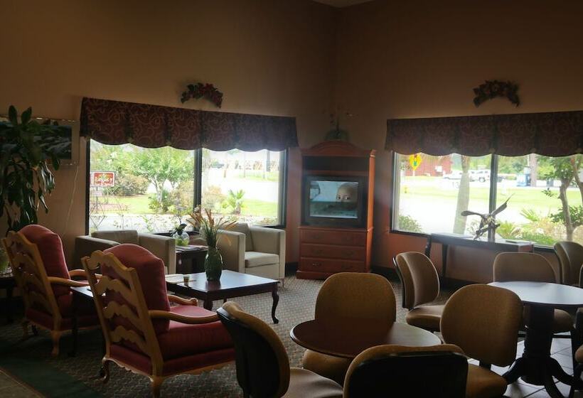 汽车旅馆  Surestay By Best Western Gulfport