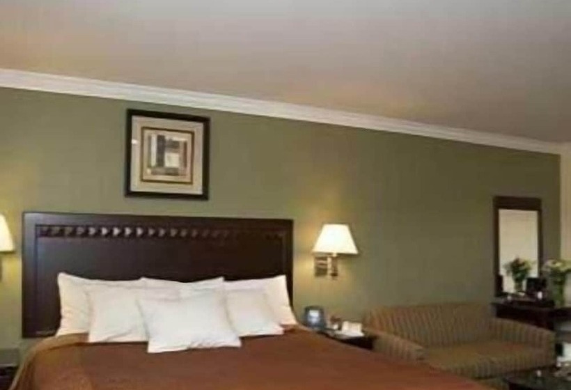 모텔 North Bay Inn