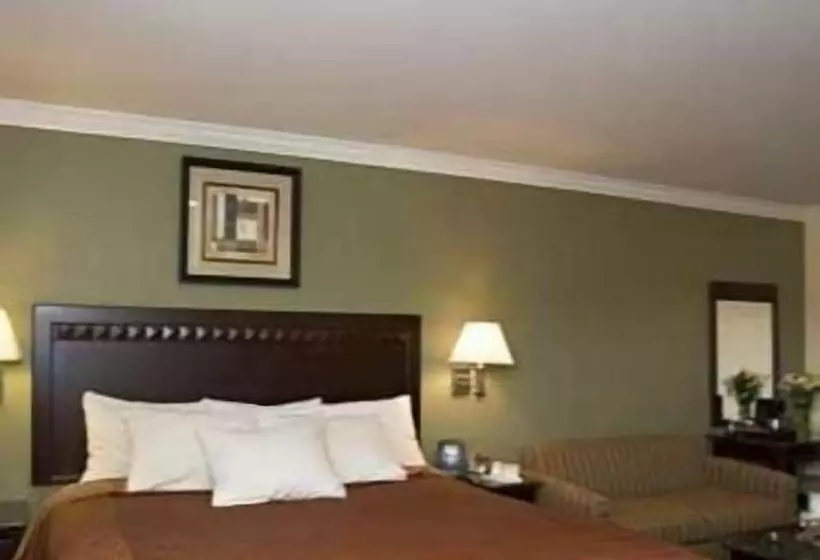 汽车旅馆 North Bay Inn