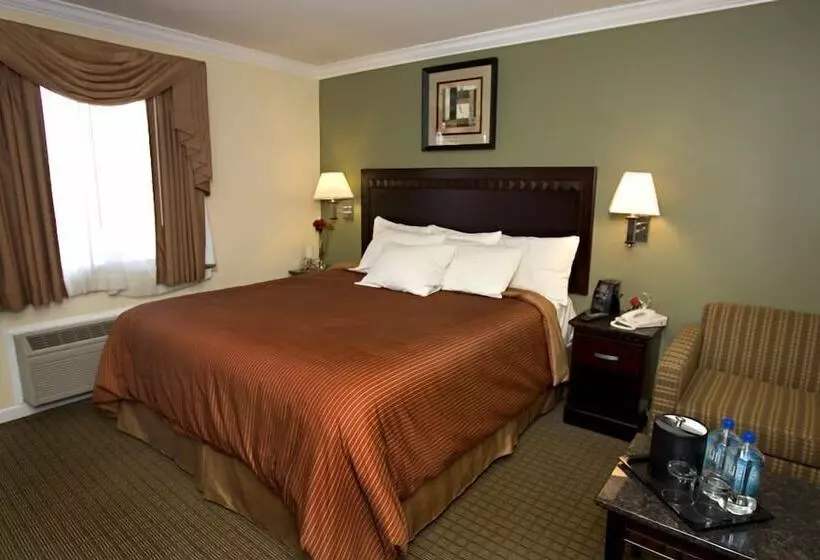 汽车旅馆 North Bay Inn