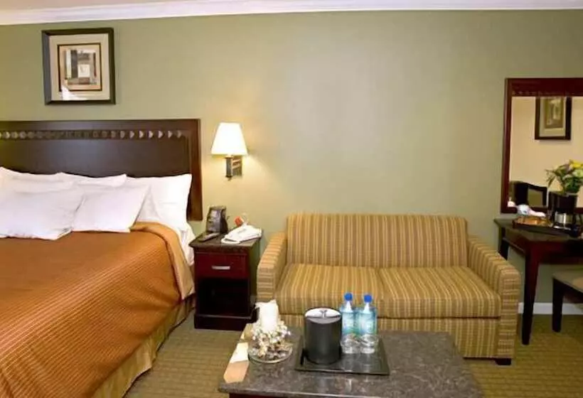 汽车旅馆 North Bay Inn