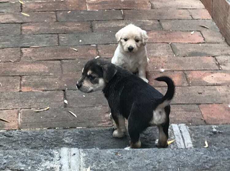 Agriturismo Borgo San Biagio