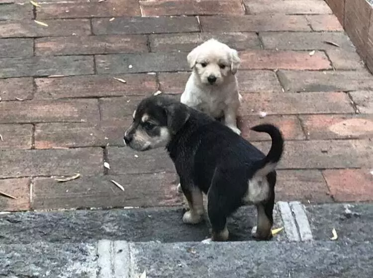 Agriturismo Borgo San Biagio