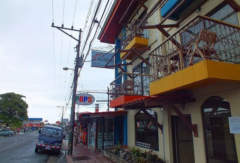 酒店 Arenal Bromelias